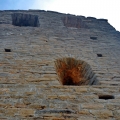 12_resize