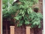 CABESTANY, Santa Maria, S-XI-XII