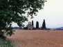 CAPELLA, Mare de Déu del Pla, S-XIII