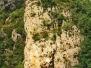 CASTELLAR DEL RIU, Sant Llorenç dels Porxos, S-XII-XIII