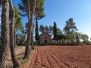 CASTELLNOU DE BAGES, Sant Salvador de Torre Abadal, S-XII
