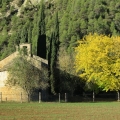 2_resize