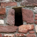 12_resize