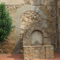 IMG_0026_resize