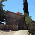 IMG_2482_resize
