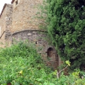 IMG_0072_resize