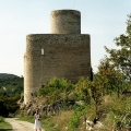 42_resize