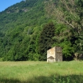 01_resize