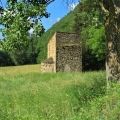 02_resize