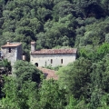 Sant Miquel de la Torre, S-XII 1_resize.JPG