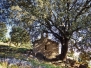 L'ESPUNYOLA, Santa Margarida del Mercadal, S-XII