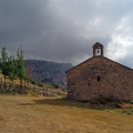 IMG_0010_resize