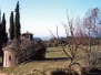 SANT BARTOMEU DEL GRAU, Sant Jaume de Fenollet, S-XII