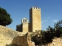 SANTA OLIVA, Nostra Senyora del Remei, S-XII